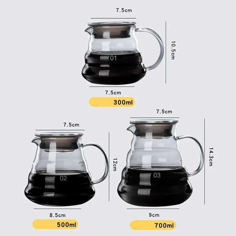 Bule de Café Vidro Borossilicato com Coador Hario V60 Lenogue