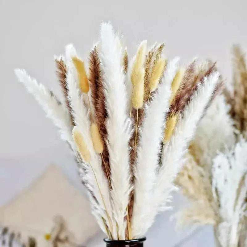 Buquê de Capim dos Pampas Natural para Decoração Ambientes Lenogue Mod. A4