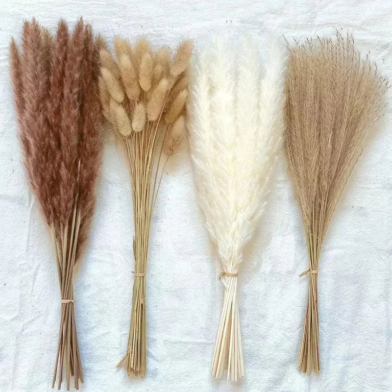 Buquê de Capim dos Pampas Natural para Decoração Ambientes Lenogue