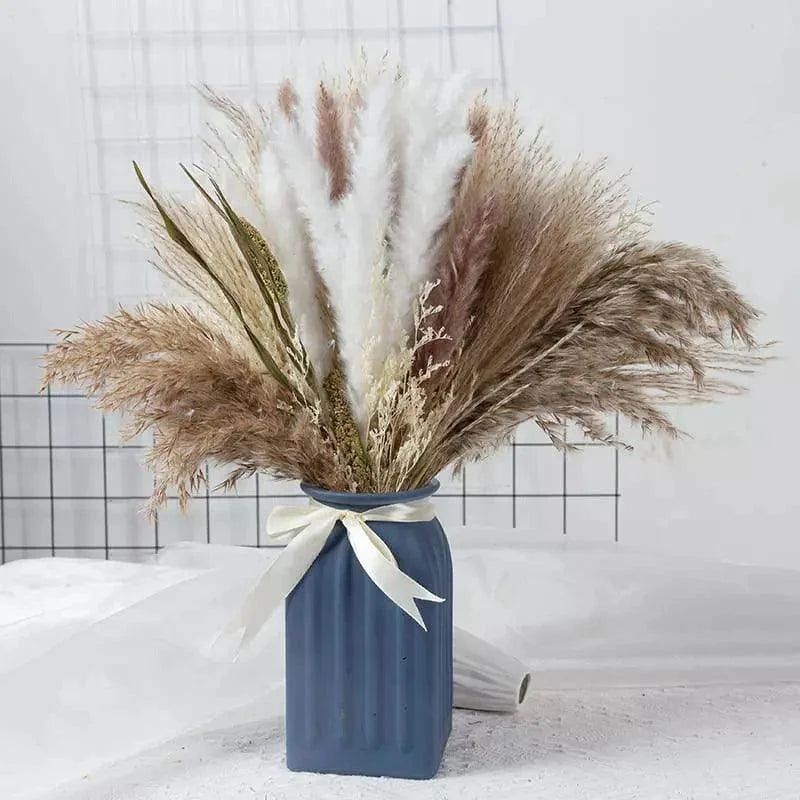 Buquê de Capim dos Pampas Natural para Decoração Ambientes Lenogue