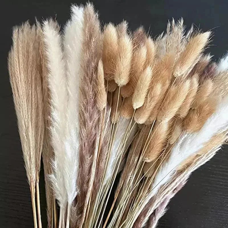 Buquê de Capim dos Pampas Natural para Decoração Ambientes Lenogue