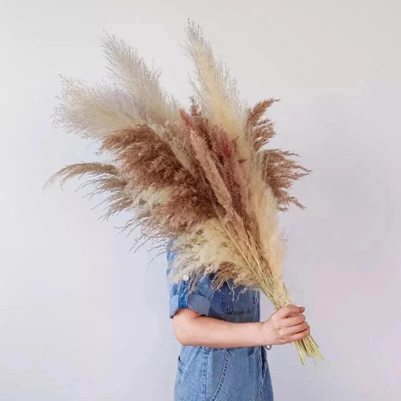 Buquê de Capim dos Pampas Natural para Decoração Ambientes Lenogue