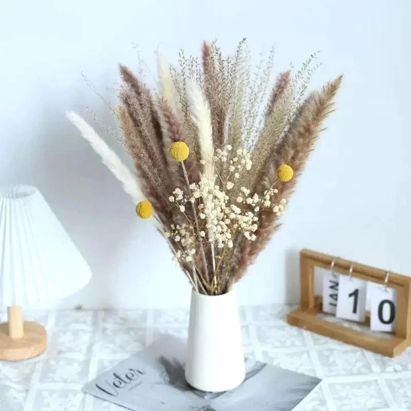 Buquê de Capim dos Pampas Natural para Decoração Ambientes Lenogue