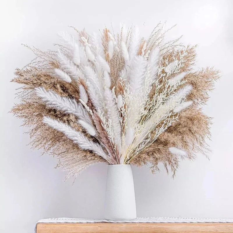 Buquê de Capim dos Pampas Natural para Decoração Ambientes Lenogue