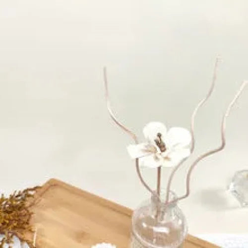 Kit 20 Varetas de Rattan Onduladas para Difusores Aromas Lenogue