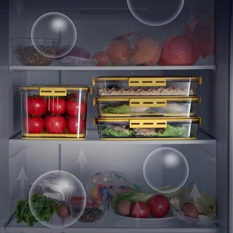 Organizador de Geladeira Transparente com Marcador Data para Alimentos Lenogue