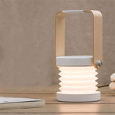 Luminária de Mesa LED com Alça de Leitura Lenogue