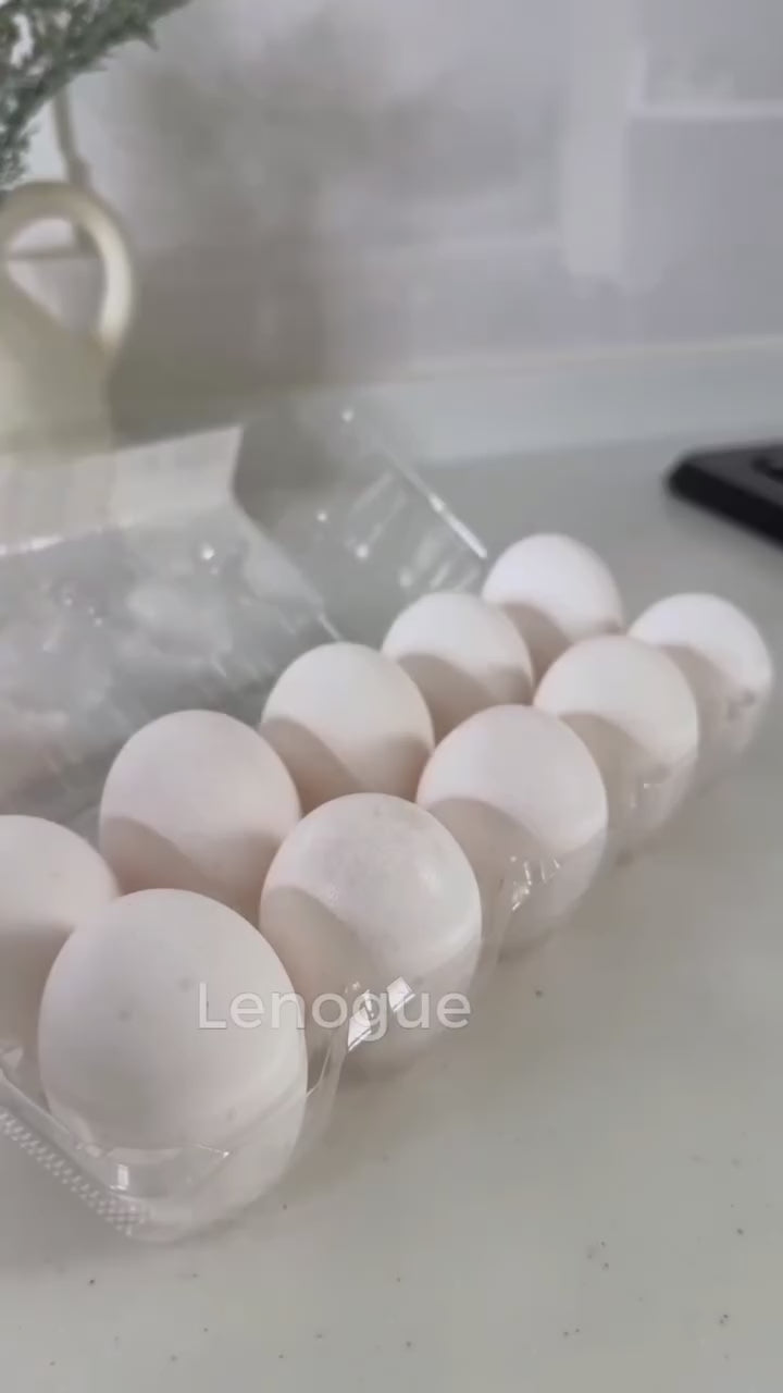 Organizador de Gavetas para Ovos Transparente para Geladeira Lenogue