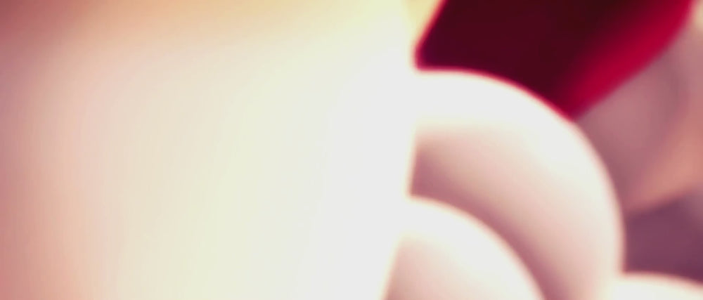 BANNER HORIZONTAL LENOGUE (1920 x 820 px) (1)